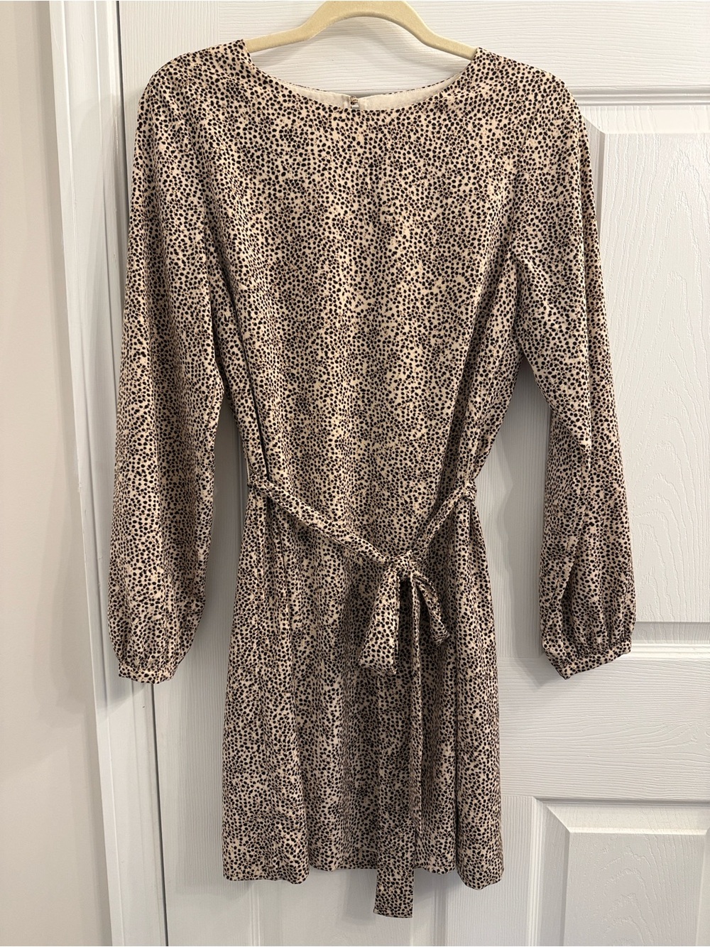 H&M print dress